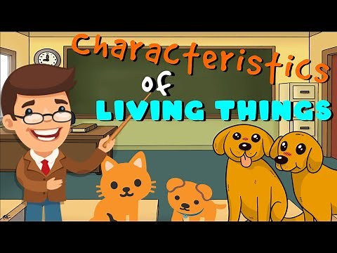 Characteristics of Living Things