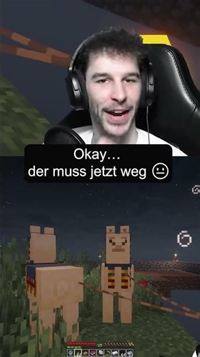 Ich höre den Sound… und handle sofort 💀 #minecraft #funnymoments