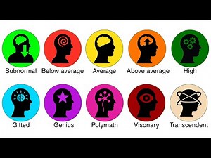 Every Level of Intelligence Explained