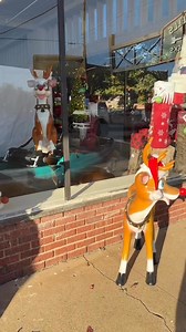 🎄Join us Saturday, November 29th 10am - 5pm at Mineral Wells Merry Mountain Snow Hill & Merry Wells Festival for a day of community, celebration, and holiday magic. From local vendors to family-friendly fun, it’s the perfect way to kick-off the season with purpose and joy. Festival located on NE 1st Avenue west of the Baker Hotel Tickets available at the gate $5 for the Festival. $5 for 3 slides on the Snow Hill! See you there! ❄️ #SnowHillChristmas #MineralWellsEvents #HolidayHappenings | Down