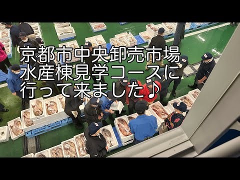 Vlog京都市中央卸売市場水産棟の見学コースに行ってみました