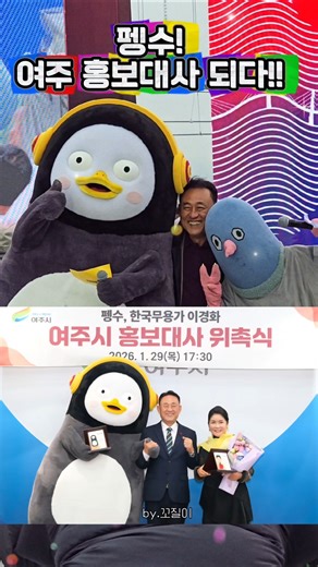펭수!여주 홍보대사 되다👍#pengsoo #펭수 #여주 #홍보대사 #도자기 #완장 #대빵 #짱 #최고 #🐧