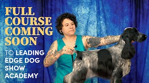 COMING SOON to Leading Edge Dog Show Academy! We're thrilled to...