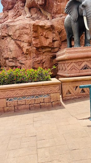 Tranquility 🤌🏾 | Black Fox Travel Line