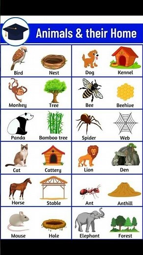 list of animals and their homes names