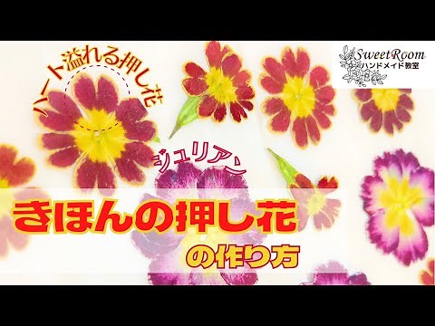 [Basic pressed flower technique that will never fail] How to make handmade heart-shaped pressed f...