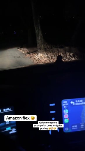 Amazon Flex Tips for New Drivers in Newark, NJ