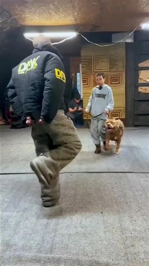 Pit Bull Protects Boy from an Attack 🐶🛡️ | Brave Dog Story #Shorts