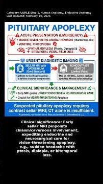 Endocrine Anatomy, Human Anatomy, USMLE Step 1 - Clinical Pearl #Shorts