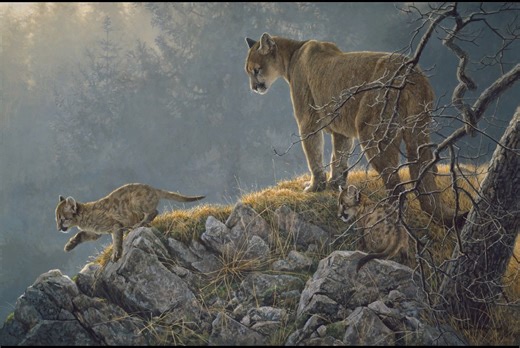 Paintings by Robert Bateman | Robert Bateman