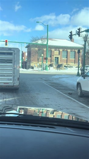 Exploring Cattle Farming Techniques