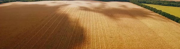 Sheppard Realty - Farmland & Ranches for Sale in Saskatchewan