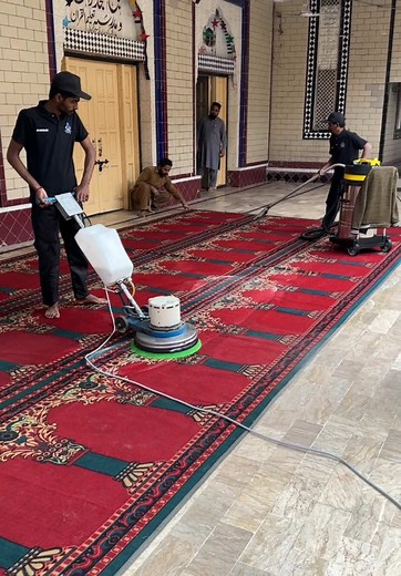 Sofa Carpet Cleaning Services on TikTok
