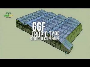 Greenhouse with Automated Shade Screen + Dutch Bucket System Design | Greengold Farms