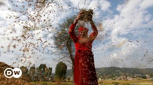 Freedom, farming and food security – DW – 05/06/2021