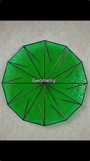 Explore the Amazing World of Geometry