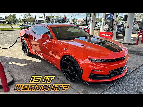 Is Gm’s Auto Butler Paint Protection Service Worth Buying?