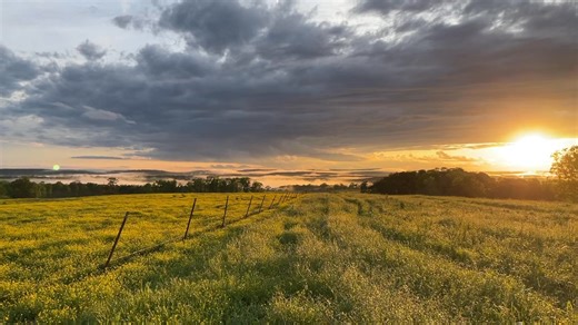 Sunset at Longbow Resort after all the rain and wind today. #vacationrental #vacation #waterfall #vacationtime #longbowresort #waterfalllovers #waterfallphotography #paradise #naturephotography #nature #cabin #naturelovers #cabininthewoods #sunset #sunsetphotography | Longbow Resort