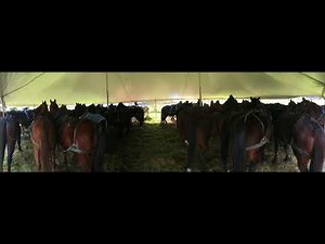 Esh Amish Wedding Lancaster County Pa 2017