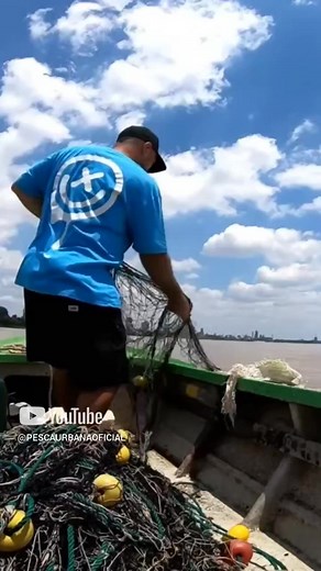 Pesco muchos peces con la red, pesca con trasmallo | Pesca Urbana - Cristian Malloni