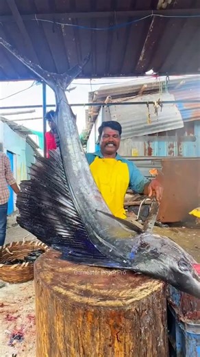 Gamestar Phani Pro | Food Clips on Instagram: "⚡⚡ Flying Fish Cutting Process⚡⚡ #shorts #telugufoodie #esangathulu #streetfood #foodie #omelette"