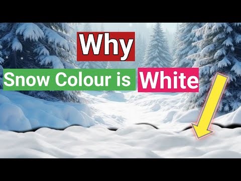 Why Snow Is White | Surprising Science Behind It!