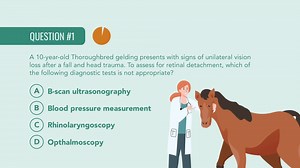 54 reactions | Ophthalmic emergencies in animals often require a quick diagnosis to save an animal’s vision. Take the quiz on eye emergencies. Learn more: msdmnls.co/3EUwHdr | MSD Veterinary Manual | Facebook
