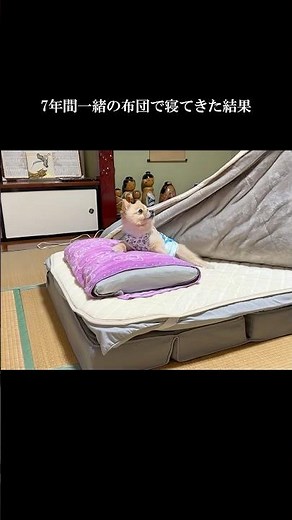 7年間一緒の布団で寝てきた結果こうなりました… #shorts