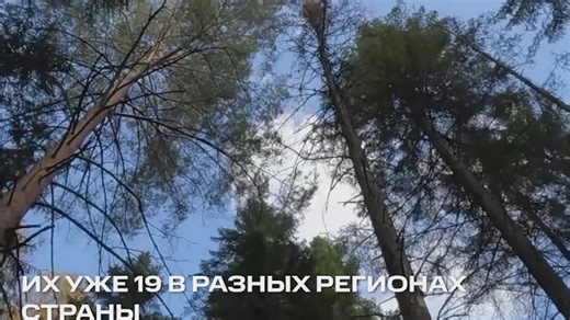 Видео Мегапроекты России: карбоновые полигоны | OK.RU