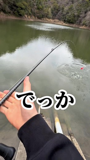 禁断の餌でバス釣り！驚きの釣果
