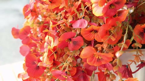 Artificial Fall Flowers for Outdoor, 4 Pcs Faux Pansy Fake Mums Plant Hanging Flowers Outdoor Fall Decor, UV Resistant No Fade Silk Flower for Front Door Porch Planter Patio Yard Garden(Orange)