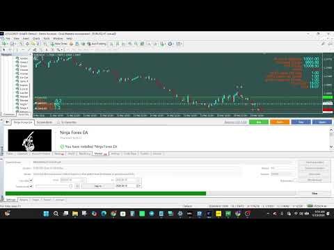 Ninja Forex EA MT4 Review – Flexible Automated Trading System Analysis