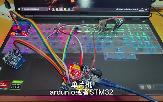 物联网项目（单片机 stm32 arduino esp8266 esp32 espcam视频监控相机 温湿度 烟雾气体 人检测等）