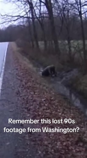 I think it was on Fox11 in 2003. #ufo #alien #fyp | ufo