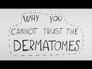 Why you cannot trust the dermatomes