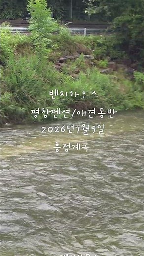 2026년 7월9일 흥정계곡~#평창펜션 #흥정계곡 #애견동반 #강원도한달살기 #개별바베큐