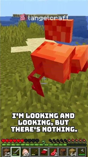 stack of chickens #minecraft