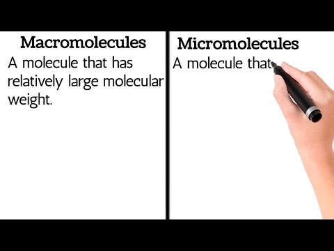 Difference between micromolecules and macromolecules with example #differences #biology