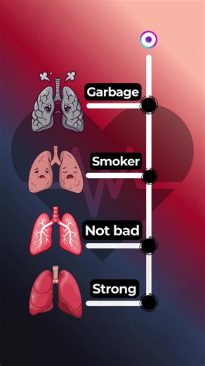 Body Reacts (@bodylabstudio)’s videos with original sound - Body Reacts