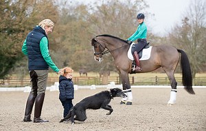 Laura Tomlinson’s top 5 novice dressage training tips that suit all types of horse