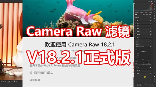 刚刚升级，Camera Raw滤镜v18.2.1正式版，多项功能优化升级，修图效率更高