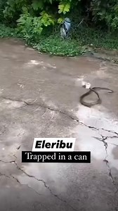 Be good to others, ma joye esu orita, so that when you are in trouble, people will rally round and help you # @ | Hajia Yekini