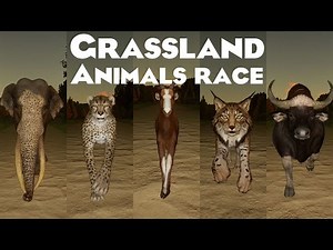Grassland Animals Category Speed Race in Early Morning in Planet Zoo included Rhino, Cheetah & etc