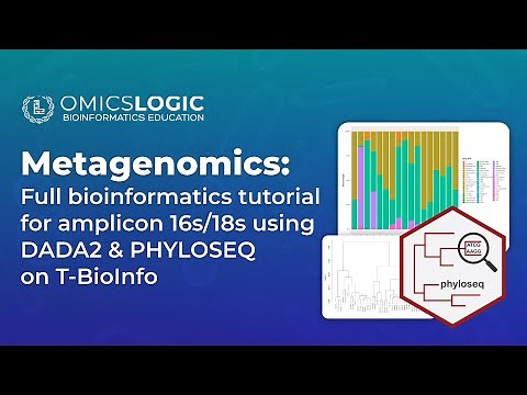 Metagenomics: Full tutorial for amplicon 16s/18s pipeline | DADA2 and PHYLOSEQ on the T-BioInfo