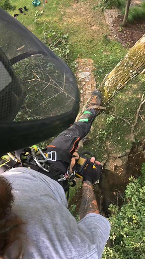 181K views · 757 reactions |   #climberchrisg #dewalt60v #chainsaw #treework #tree #removal #dewalt #climber #rigging #down #limb #woo | Casemate | Facebook