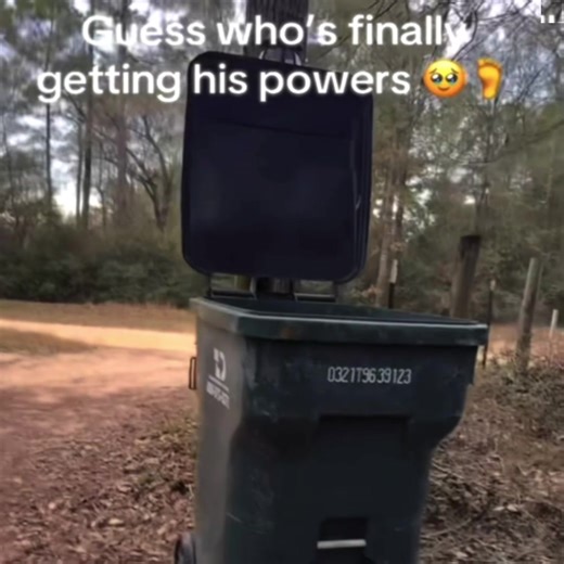 Invincible Edit with Renicht Dimensional Song