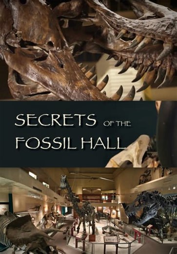 Secrets of the Fossil Hall (2014)