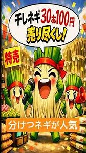 Dried green onions, 30 pieces for 100 yen!