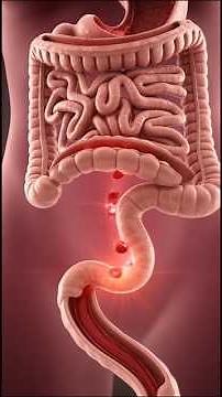 What Beetroot Does to Your Blood & Energy! inside your body/#science #animation #education