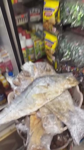 Unveiling the Dark Underbelly of the Illegal Snook Trade